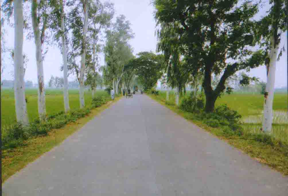 Hichmi-Panchbibi-Hill Road